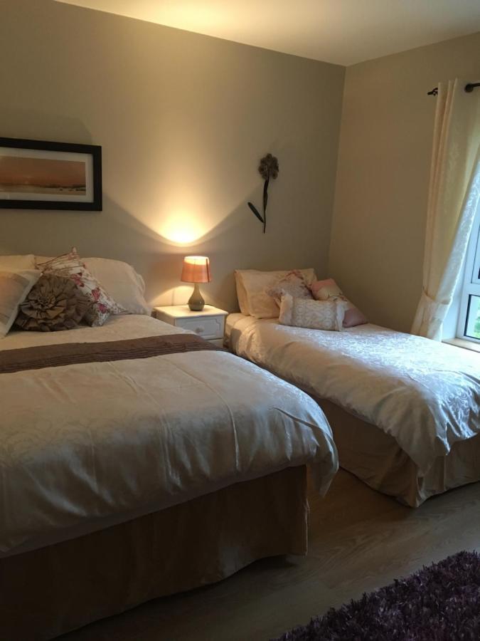 كِليبيغْز Carrick House B&B المظهر الخارجي الصورة