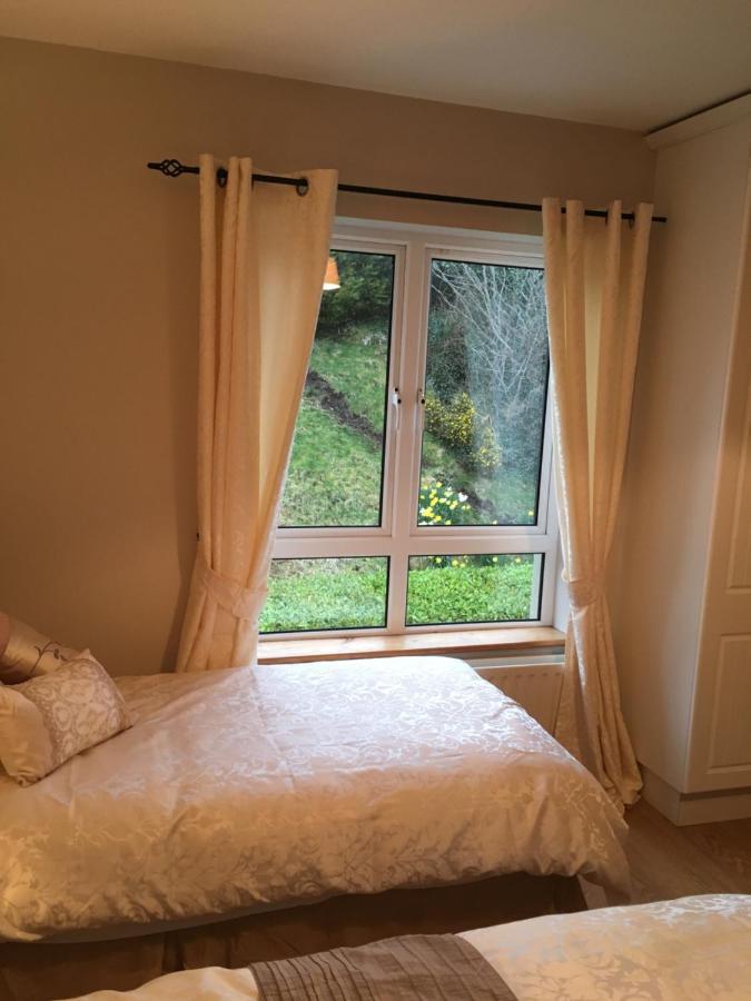 كِليبيغْز Carrick House B&B المظهر الخارجي الصورة