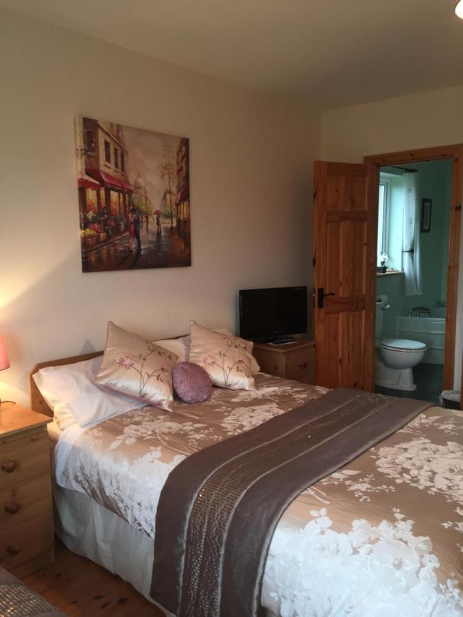 كِليبيغْز Carrick House B&B المظهر الخارجي الصورة