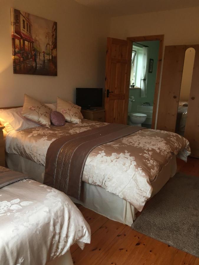 كِليبيغْز Carrick House B&B المظهر الخارجي الصورة