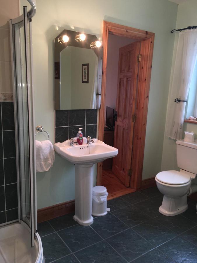 كِليبيغْز Carrick House B&B المظهر الخارجي الصورة