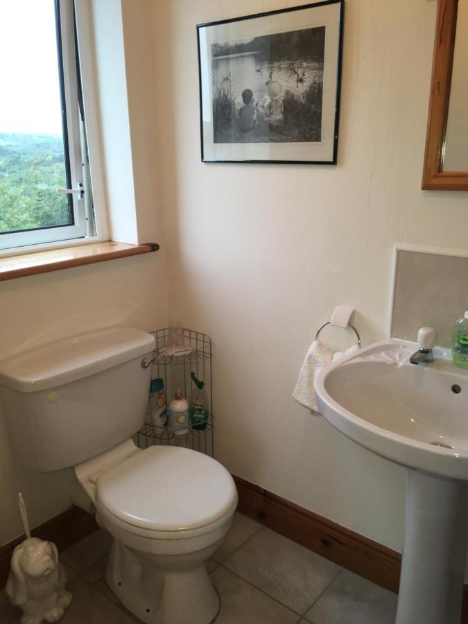 كِليبيغْز Carrick House B&B المظهر الخارجي الصورة