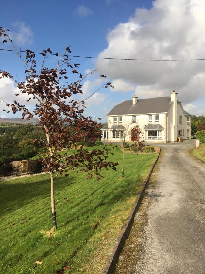 كِليبيغْز Carrick House B&B المظهر الخارجي الصورة