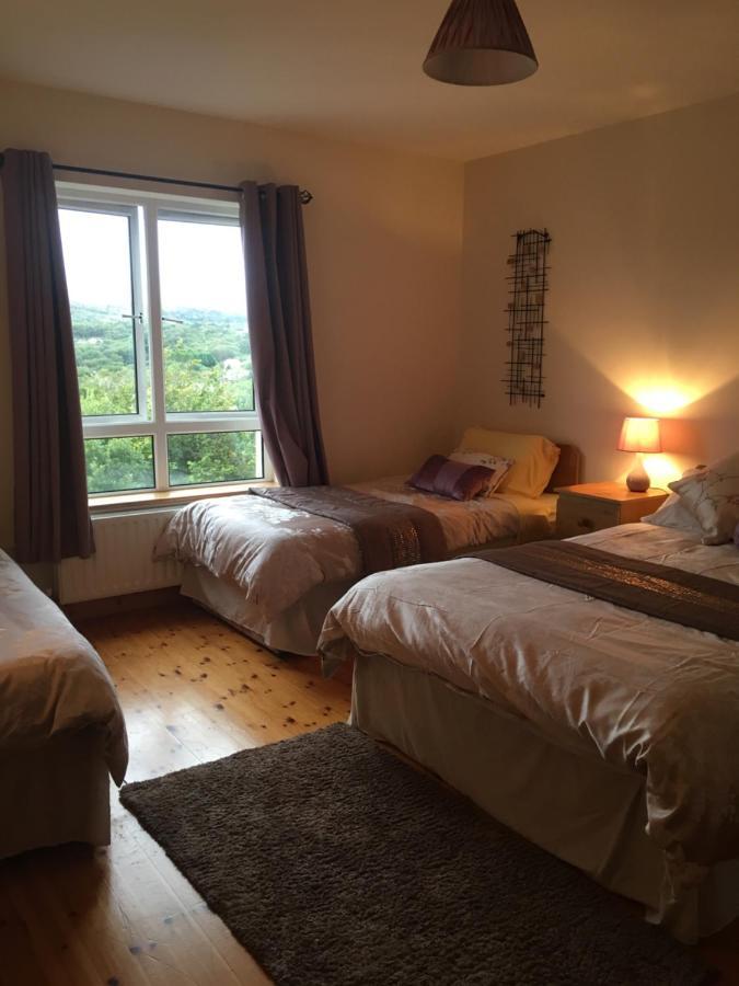 كِليبيغْز Carrick House B&B المظهر الخارجي الصورة